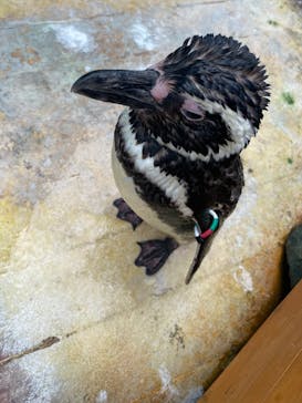 上越市立水族博物館 うみがたりに投稿された画像（2024/8/24）