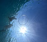 西表島 ADVENTURE PiPi（アドベンチャーピピ）に投稿された画像（2024/8/24）