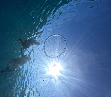 西表島 ADVENTURE PiPi（アドベンチャーピピ）に投稿された画像（2024/8/24）