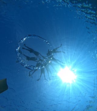 西表島 ADVENTURE PiPi（アドベンチャーピピ）に投稿された画像（2024/8/24）