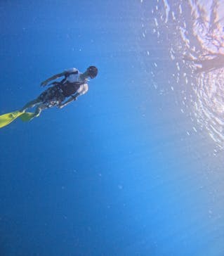 西表島 ADVENTURE PiPi（アドベンチャーピピ）に投稿された画像（2024/8/24）