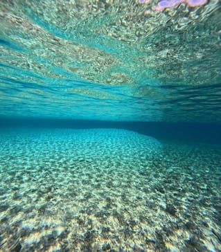 西表島 ADVENTURE PiPi（アドベンチャーピピ）に投稿された画像（2024/8/24）