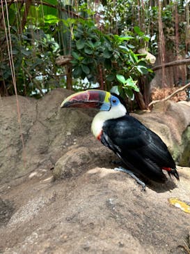 神戸どうぶつ王国に投稿された画像（2024/8/24）