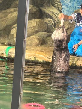 マリンワールド海の中道に投稿された画像（2024/8/24）