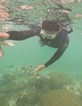 武藤潜水に投稿された画像（2024/8/24）