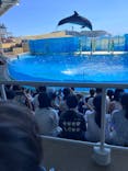 新江ノ島水族館に投稿された画像（2024/8/24）