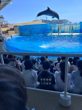 新江ノ島水族館に投稿された画像（2024/8/24）