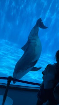 名古屋港水族館に投稿された画像（2024/8/24）