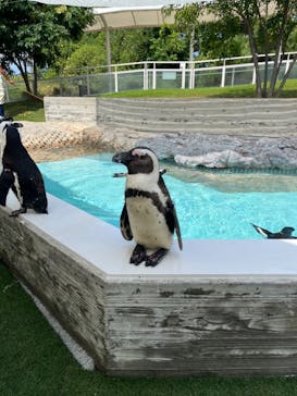 マリンワールド海の中道に投稿された画像（2024/8/24）