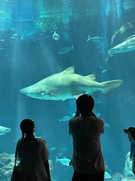 マリンワールド海の中道に投稿された画像（2024/8/24）