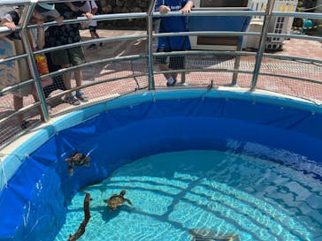沖縄美ら海水族館に投稿された画像（2024/8/24）