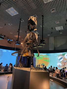 国立科学博物館に投稿された画像（2024/8/24）