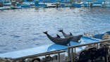 名古屋港水族館に投稿された画像（2024/8/24）
