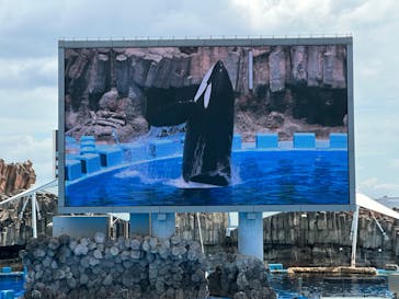 名古屋港水族館に投稿された画像（2024/8/24）