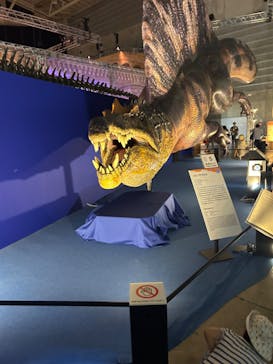 巨大恐竜展2024に投稿された画像（2024/8/24）