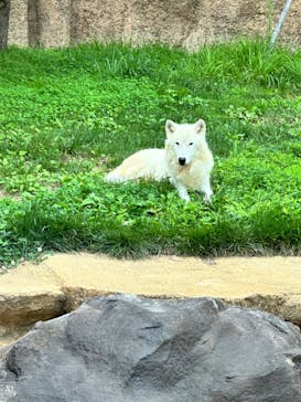 那須どうぶつ王国に投稿された画像（2024/8/24）