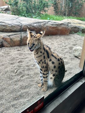 那須どうぶつ王国に投稿された画像（2024/8/24）