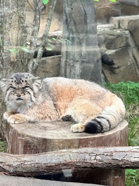 那須どうぶつ王国に投稿された画像（2024/8/24）