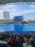 名古屋港水族館に投稿された画像（2024/8/24）