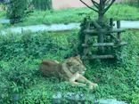 多摩動物公園に投稿された画像（2024/8/24）
