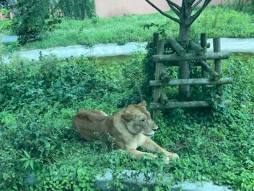 多摩動物公園に投稿された画像（2024/8/24）