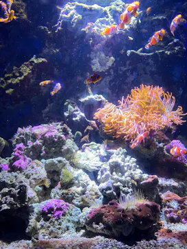仙台うみの杜水族館に投稿された画像（2024/8/24）