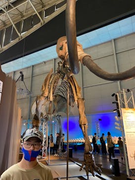 巨大恐竜展2024に投稿された画像（2024/8/24）