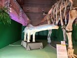 巨大恐竜展2024に投稿された画像（2024/8/24）