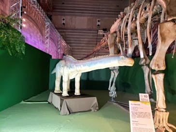 巨大恐竜展2024に投稿された画像（2024/8/24）