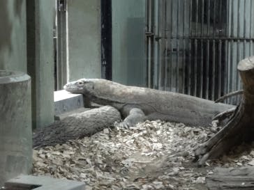 名古屋市東山動植物園に投稿された画像（2024/8/24）