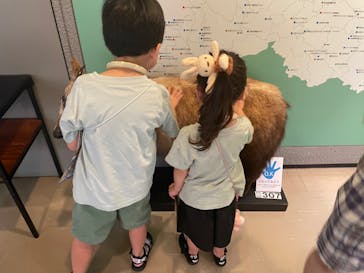 岐阜県博物館に投稿された画像（2024/8/24）