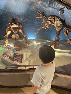 岐阜県博物館に投稿された画像（2024/8/24）