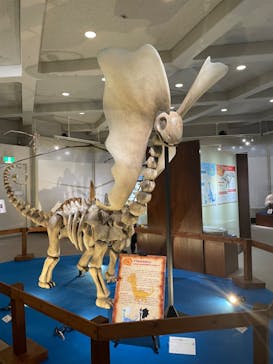 岐阜県博物館に投稿された画像（2024/8/24）