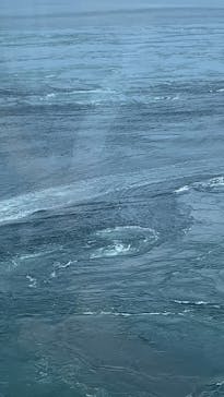 徳島県立 渦の道に投稿された画像（2024/8/24）