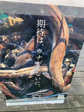 浜名湖体験学習施設ウォットに投稿された画像（2024/8/24）