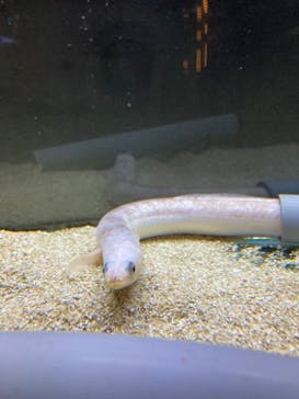 浜名湖体験学習施設ウォットに投稿された画像（2024/8/24）