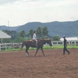 シービューランチに投稿された画像（2024/8/24）