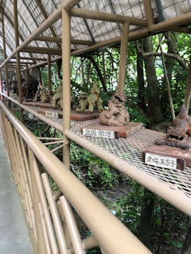 琉球村に投稿された画像（2024/8/24）