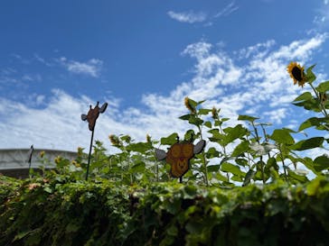 志摩スペイン村パルケエスパーニャに投稿された画像（2024/8/24）