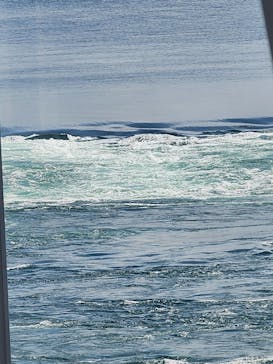 徳島県立 渦の道に投稿された画像（2024/8/24）