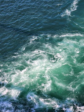 徳島県立 渦の道に投稿された画像（2024/8/24）