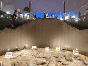 福井県立恐竜博物館に投稿された画像（2024/8/24）