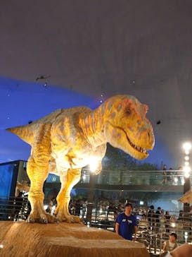 福井県立恐竜博物館に投稿された画像（2024/8/24）