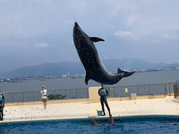 マリンワールド海の中道に投稿された画像（2024/8/24）