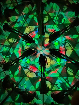 チームラボフォレスト 福岡 - SBI証券に投稿された画像（2024/8/24）