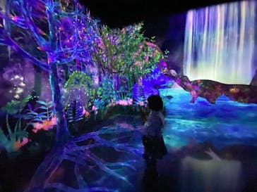 チームラボフォレスト 福岡 - SBI証券に投稿された画像（2024/8/24）