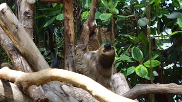 神戸どうぶつ王国に投稿された画像（2024/8/24）