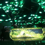 AQUARIUM × ART　atoaに投稿された画像（2024/8/24）