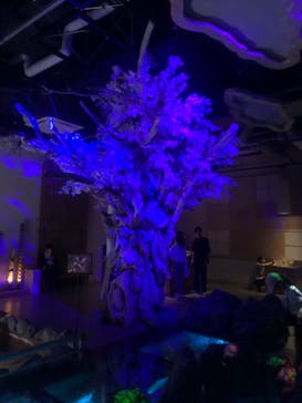 AQUARIUM × ART　atoaに投稿された画像（2024/8/24）