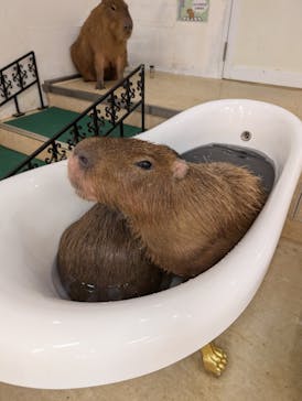 アニタッチ MARK IS 静岡に投稿された画像（2024/8/24）